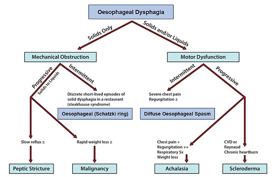Clinical evaluation of esophageal dysphagia in the elderly